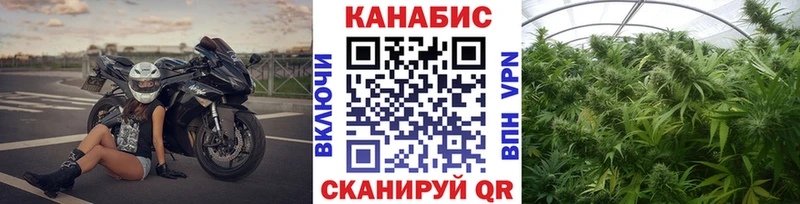 Бошки Шишки ГИДРОПОН Минеральные Воды